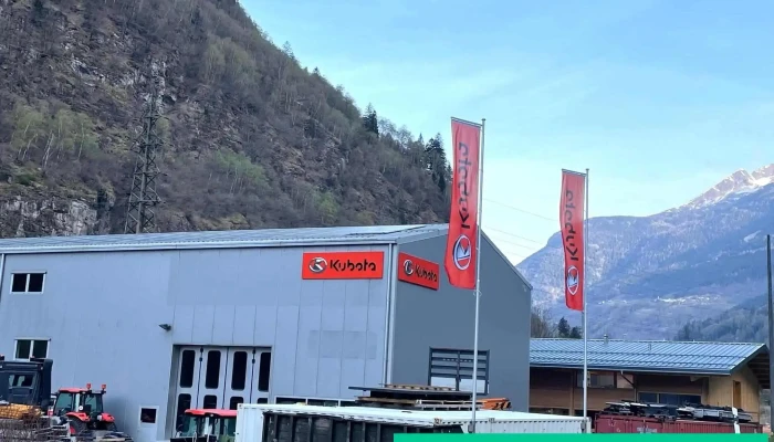 Tonini Garage E Metalcostruzioni Sagl -  Vom Inhaber - Chiggiogna