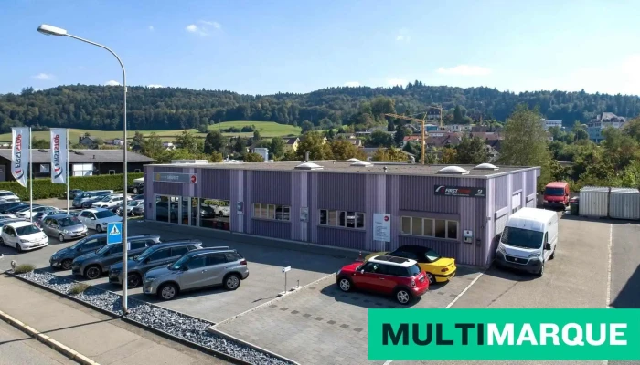 Ts Garage Siegrist Ag -  Alle - Safenwil
