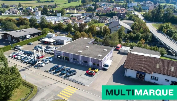 Ts Garage Siegrist Ag -  Vom Inhaber - Safenwil