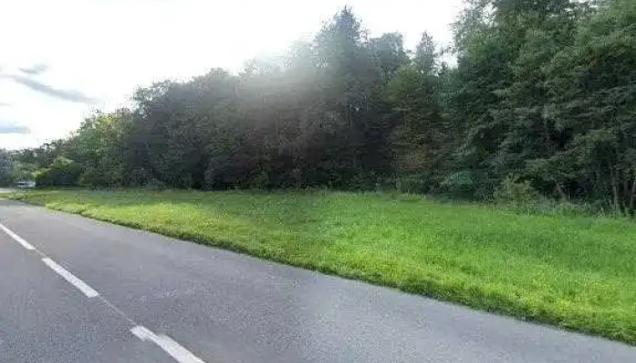 Tschopp Thomas -  Alle - Wünnewil
