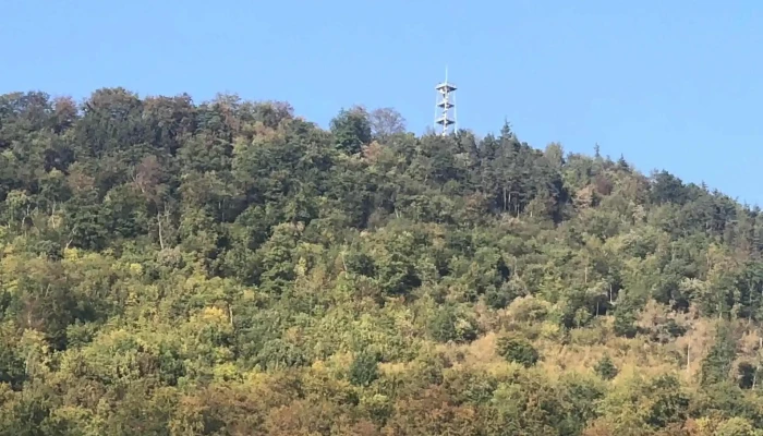 Turmwirtschaft Und Aussichtsturm Liestal -  In Meiner Nahe - Liestal