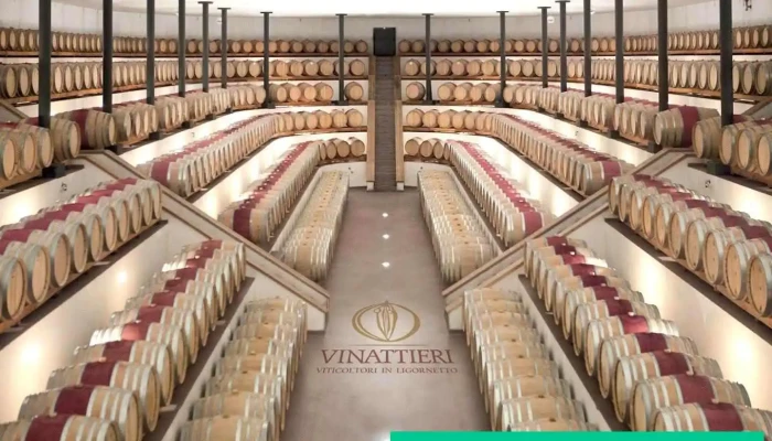 Vinattieri Ticino Sa - Ligornetto