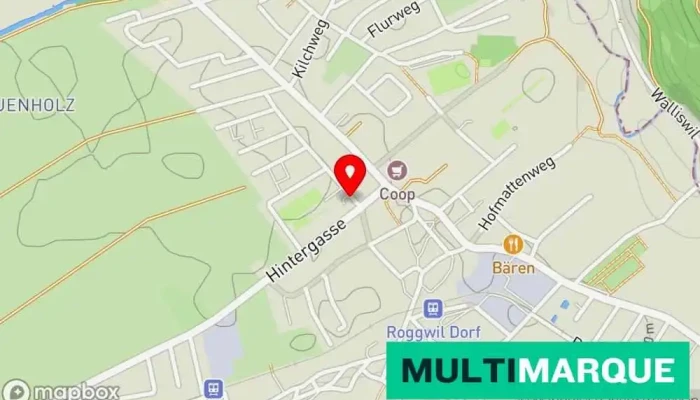 Karte von Vintage Auto - Sattlerei - Polsterei Autowerkstatt in Roggwil