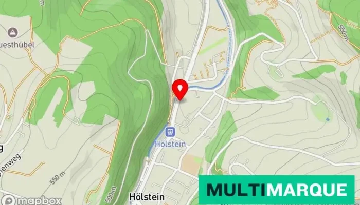 Vivero Pflanzen -  Karte - Hölstein