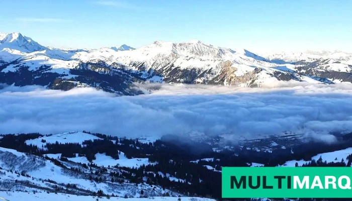 VogellisiBerg Sillerenbühl - Bergbahnen Adelboden Lenk Ag - Adelboden