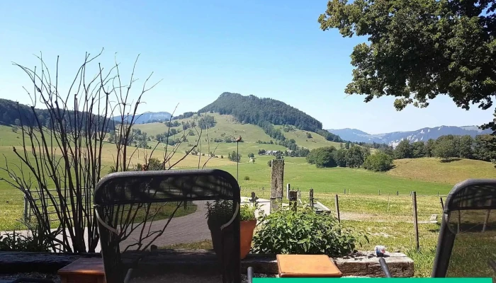 Vordere Schmiedenmatt -  Atmosphare - Farnern