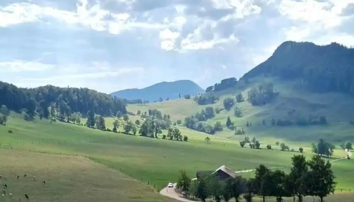 Vordere Schmiedenmatt -  Videos - Farnern