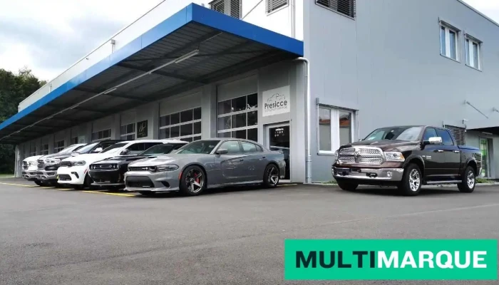 Vorstadt Garage Presicce Gmbh Chrysler Dodge Ram Jeep Alle - Spreitenbach