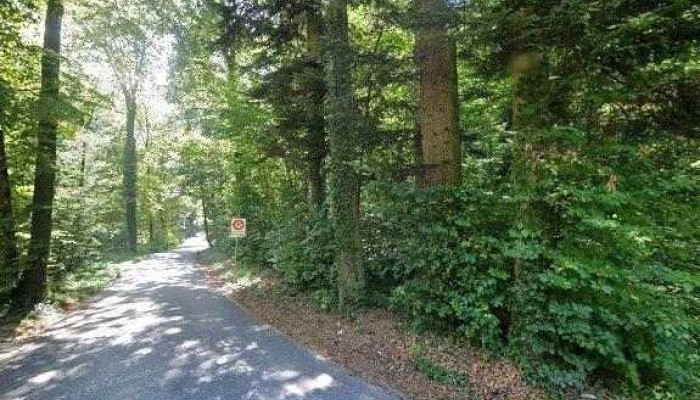 Waldhutte Edleten Burgergemeinde Lausen Street View 360deg Fotos - Lausen