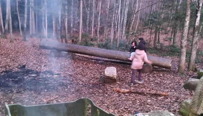 Waldhutte Edleten Burgergemeinde Lausen Videos - Lausen