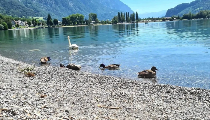 Walenstadt - Schweiz