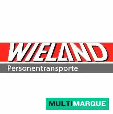 Wielandbus Ag -  Alle - Murten