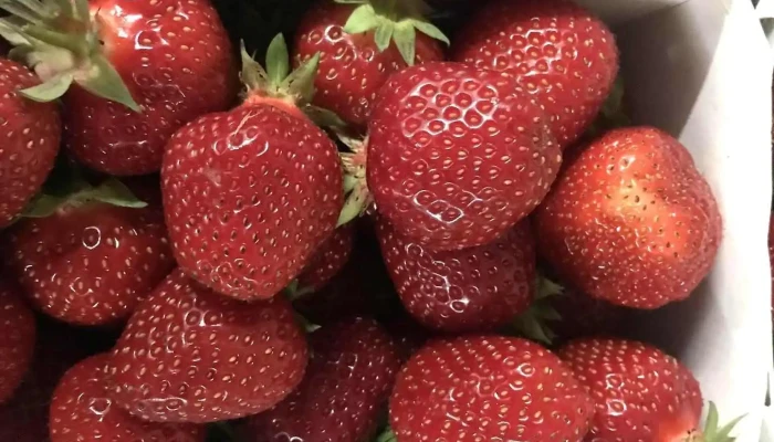 Wiesner Beeren -   Und Spargelkultur Vom Inhaber - Bottmingen