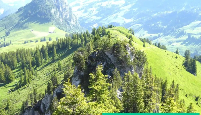 Wiriehorn - Schweiz