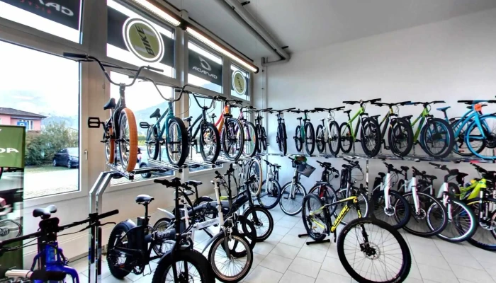 Z -  Bike Alle - Camorino