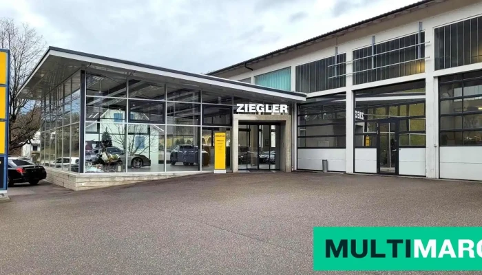 Ziegler Car Gmbh Alle - Rümlingen