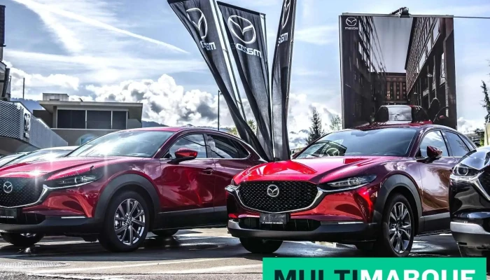 Zollgarage Rheintal Ag - Kriessern
