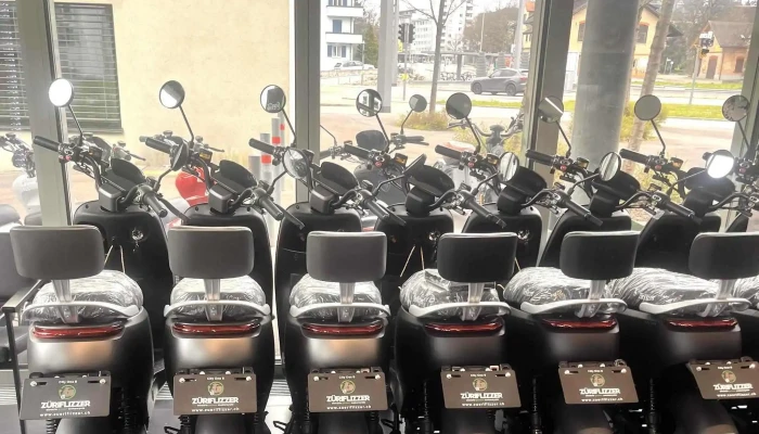 Zuriflizzer Grosshandler Fur Elektro Scooterroller Preise - Schlieren
